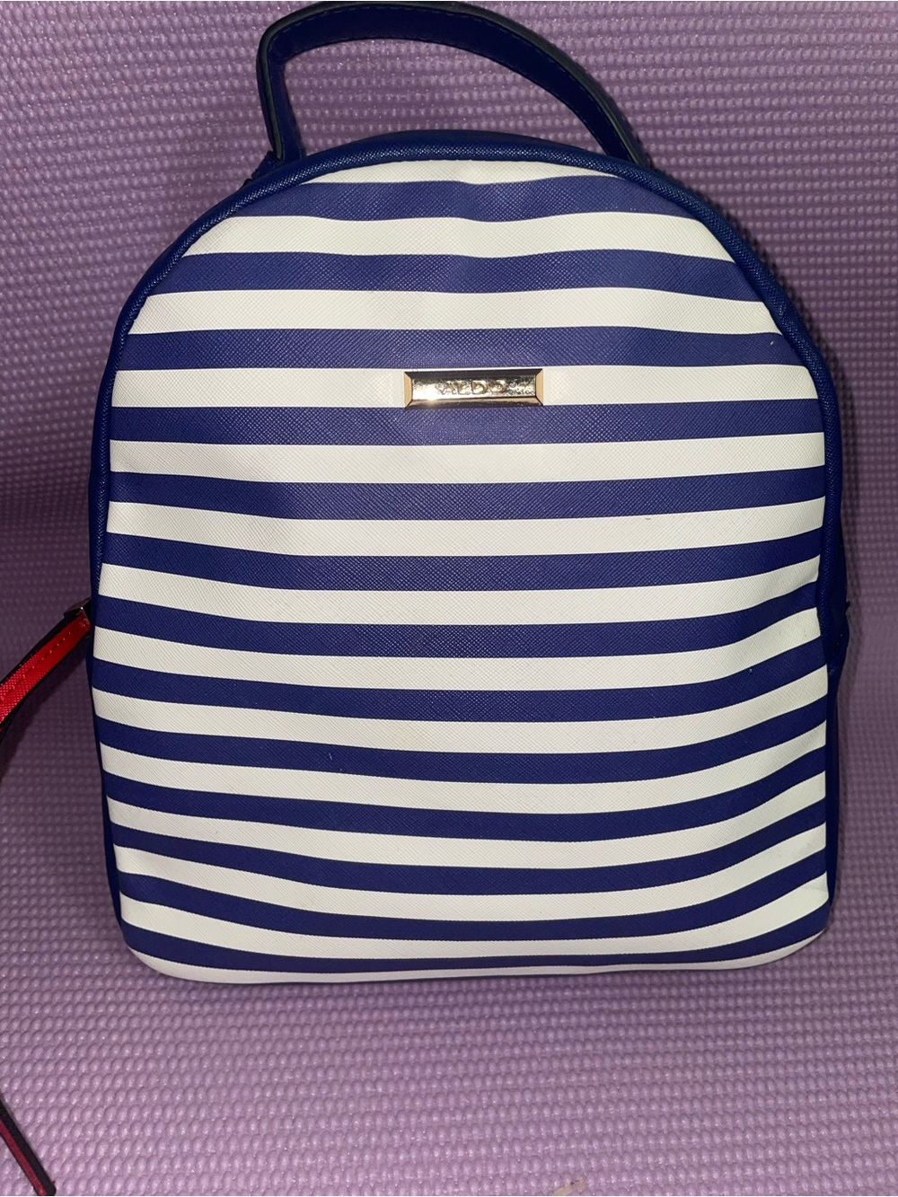 Aldo Backpacks
